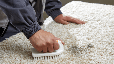 Professional Rug Cleaning Kalkallo